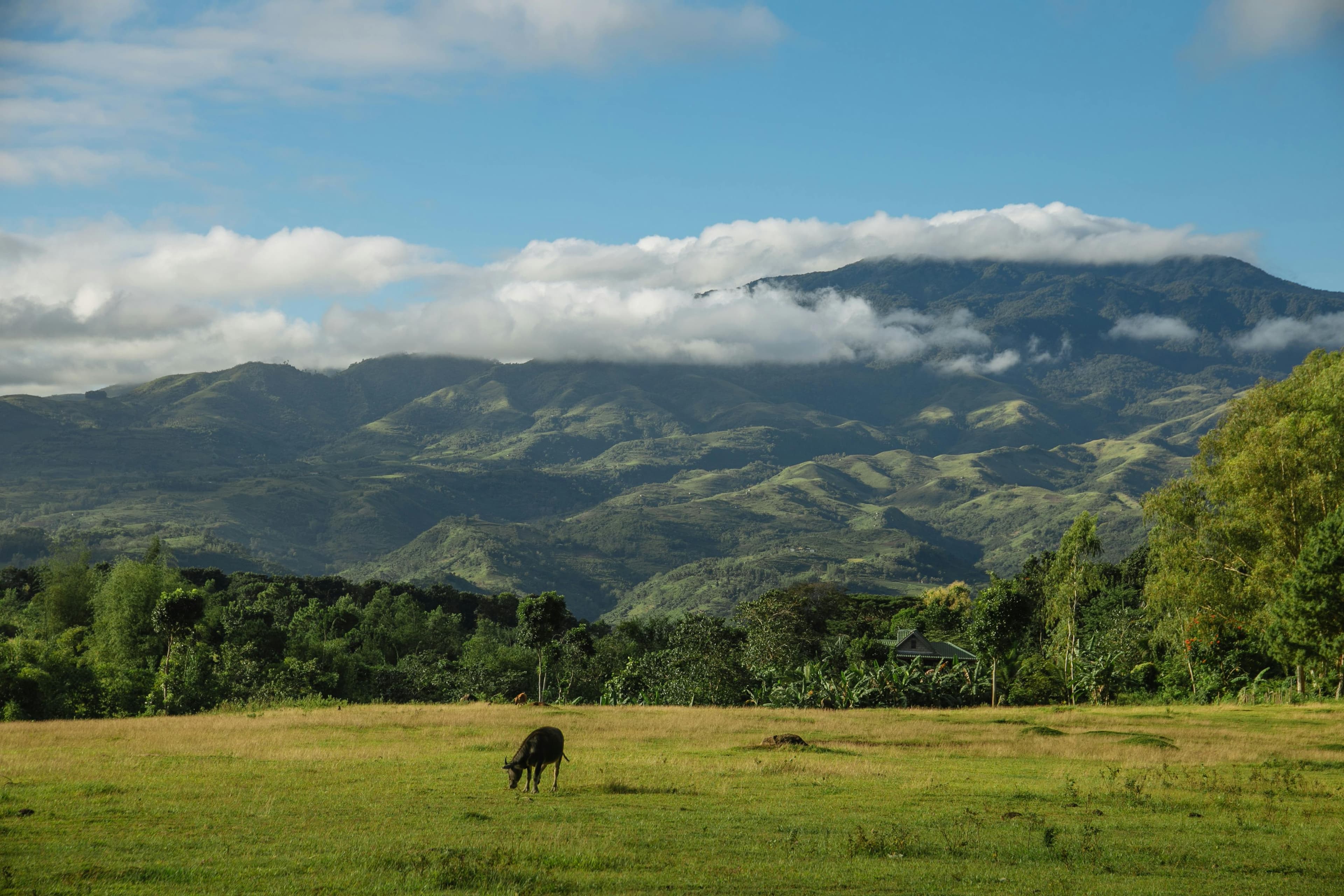Paraíso Costero