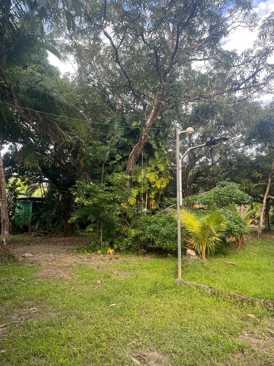 Agua celeste