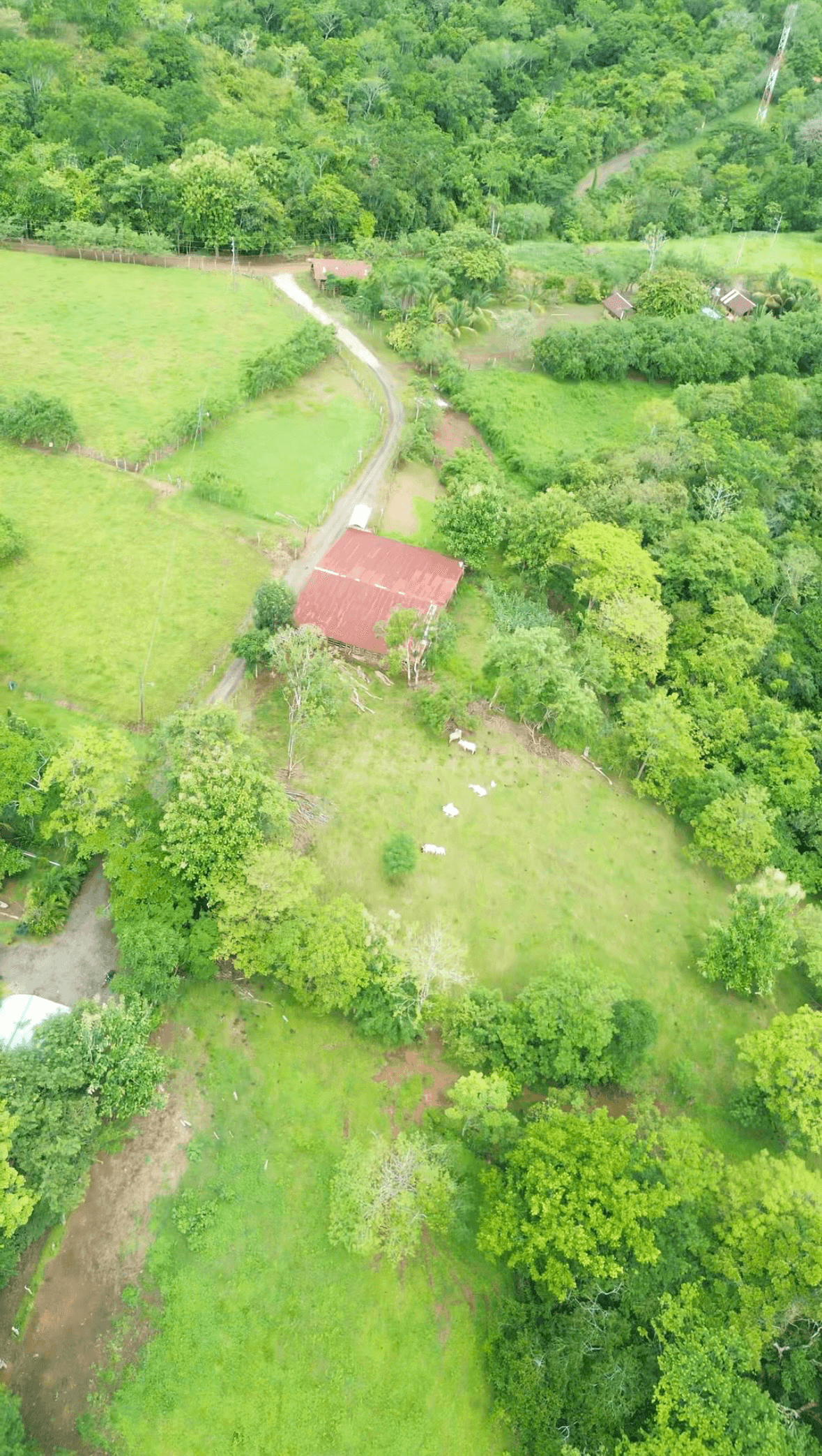 Finca fallas mora