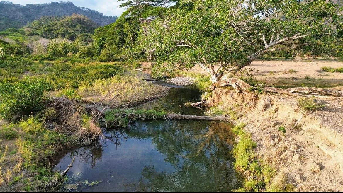 Finca la montaña