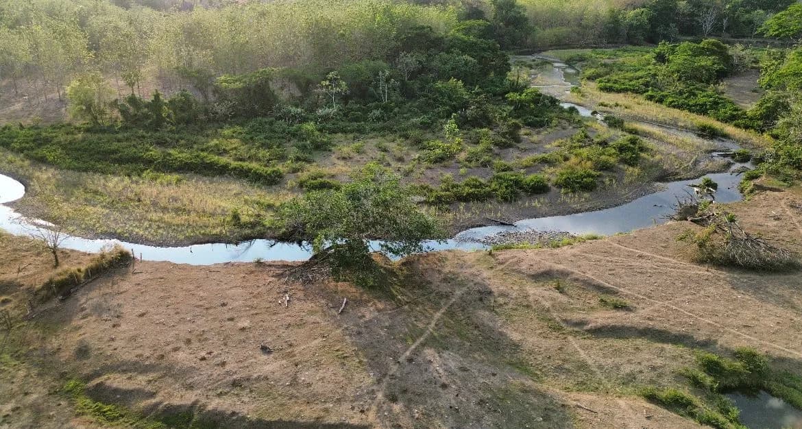Finca la montaña