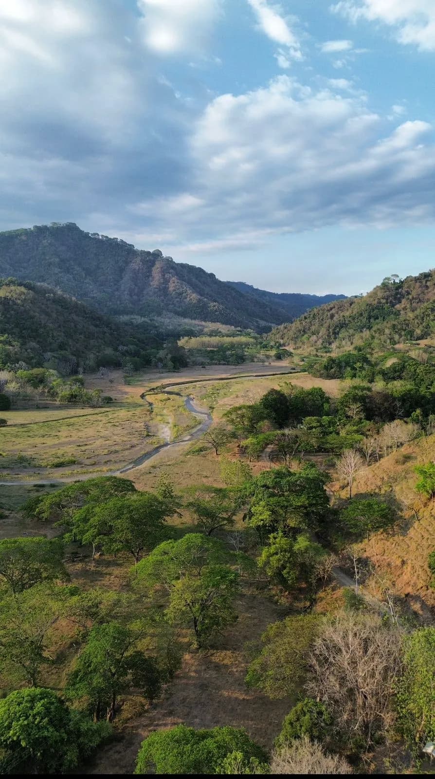 Finca la montaña
